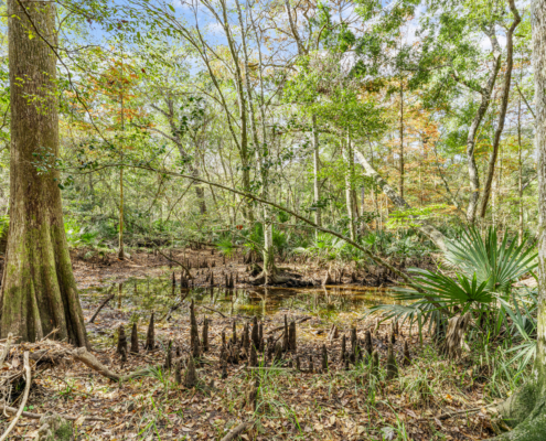 Final Listing Photos - 3589 Red Cloud Trail-06